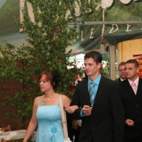 126_20100611_1227136786