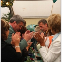 237_20100620_1726349735