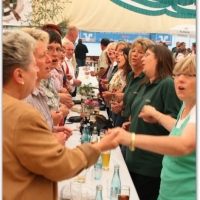 193_20100623_2041653453