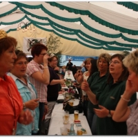 213_20100623_1302945837